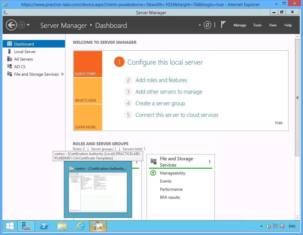 Practice Labs screenshot.